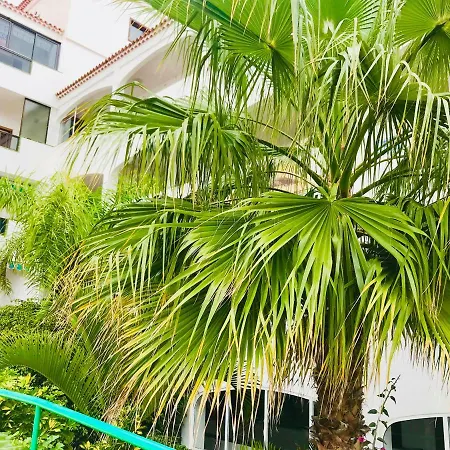 Atlantic View - Quiet, Peaceful And Windless With Fantastic Ocean View 아파트