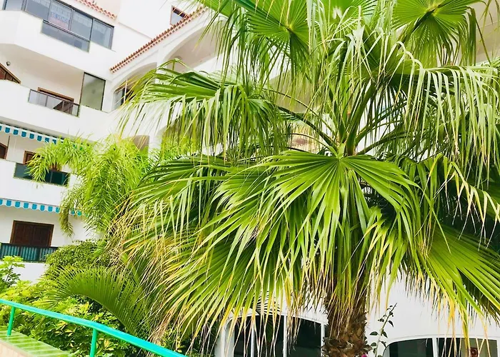 Atlantic View - Quiet, Peaceful And Windless With Fantastic Ocean View דירה