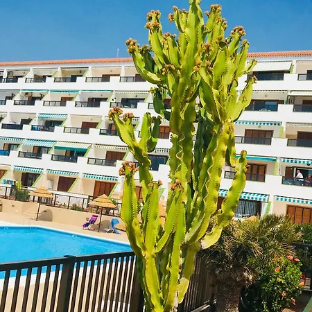 Apartment Atlantic View - Quiet, Peaceful And Windless With Fantastic Ocean View